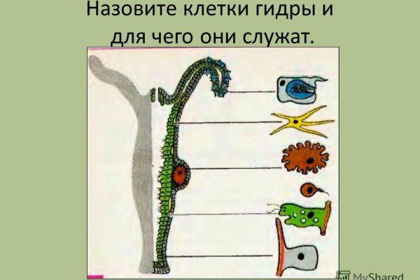 Кракен сайт бошки