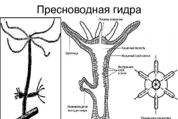 Kraken вход и ссылки